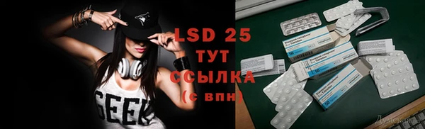 стафф Ельня