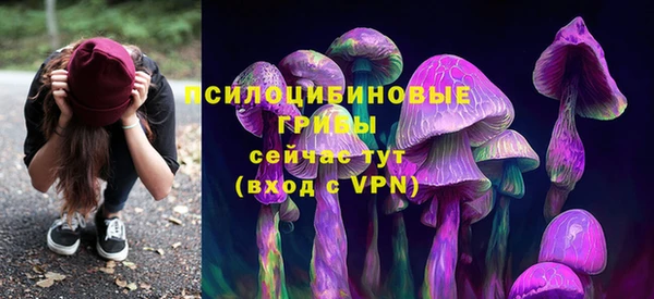 ешки Богородск