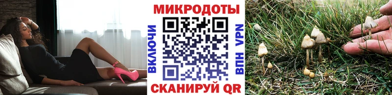 Псилоцибиновые грибы MAGIC MUSHROOMS Кингисепп